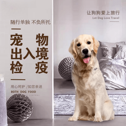 云浮市宠物托运到哥伦比亚猫狗宠物入境规定和