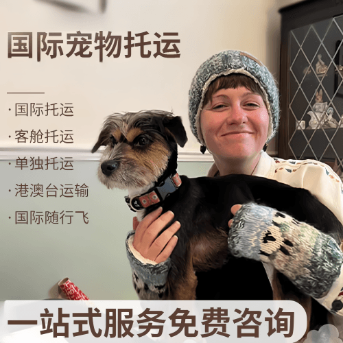 云浮市国际宠物托运到阿根廷宠物入境规定和要