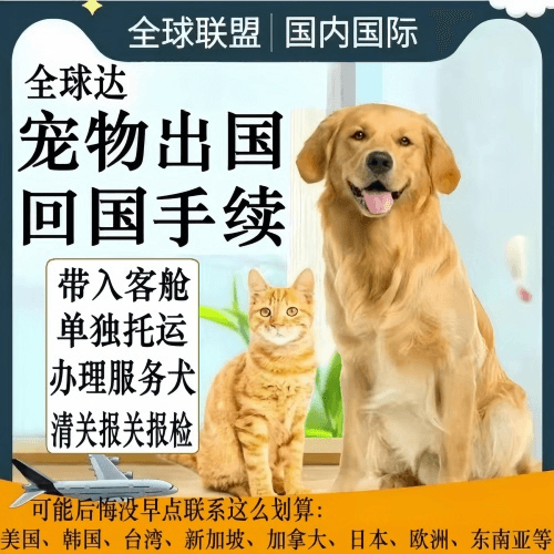 云浮市宠物托运到柬埔寨宠物入境规定和要求