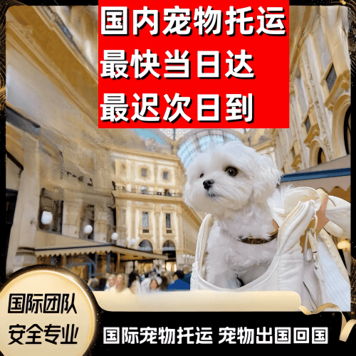 云浮市到澳大利亚（澳洲）宠物入境规定和要求